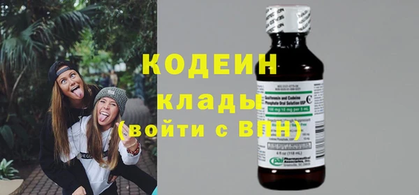 кокс Алексин