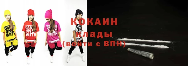 кокс Алексин